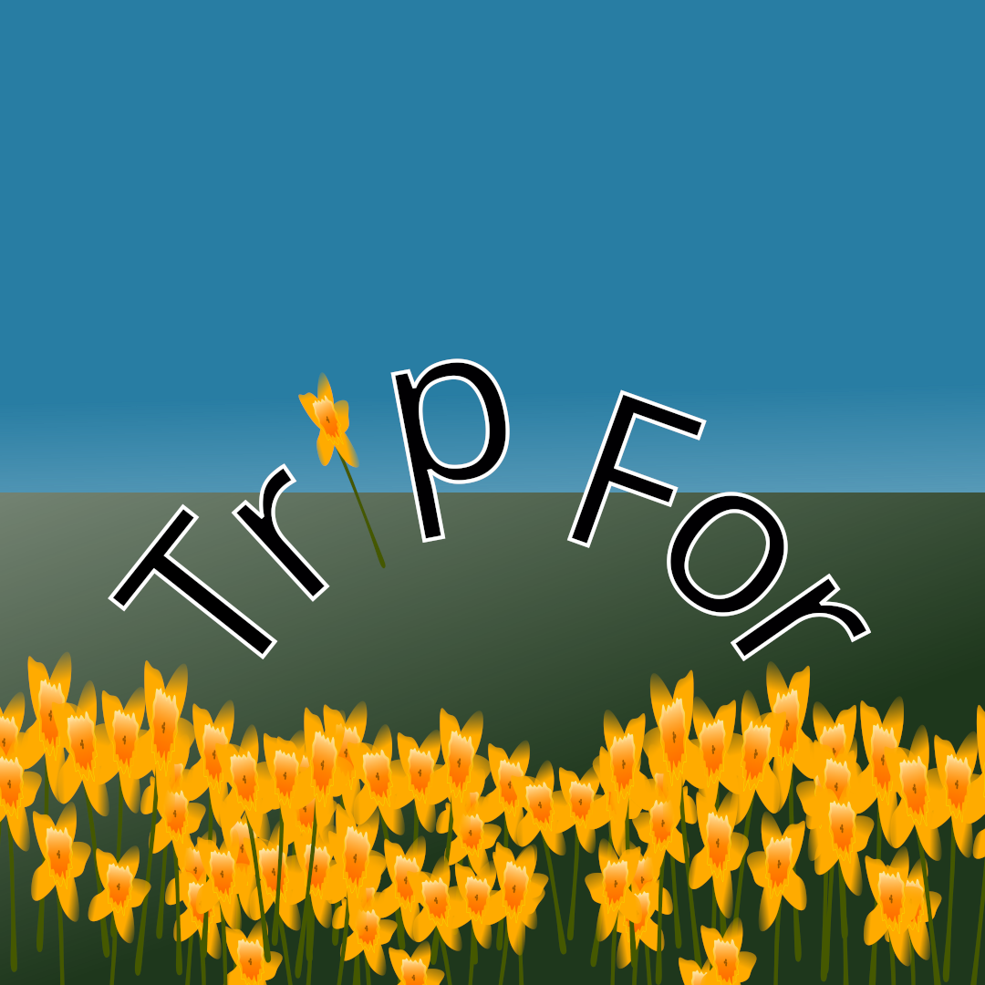 Tripfor - About